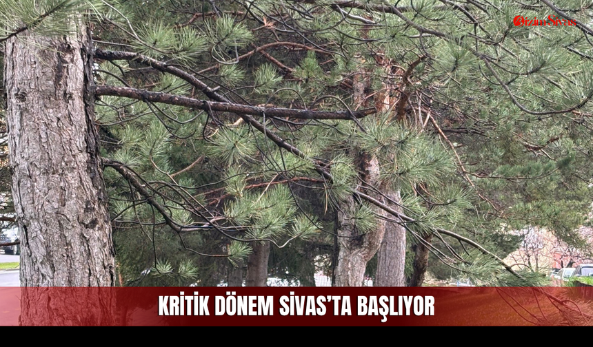 Adım Atan Hapşırıyor! Sivas'ta Kritik Dönem Başlıyor!