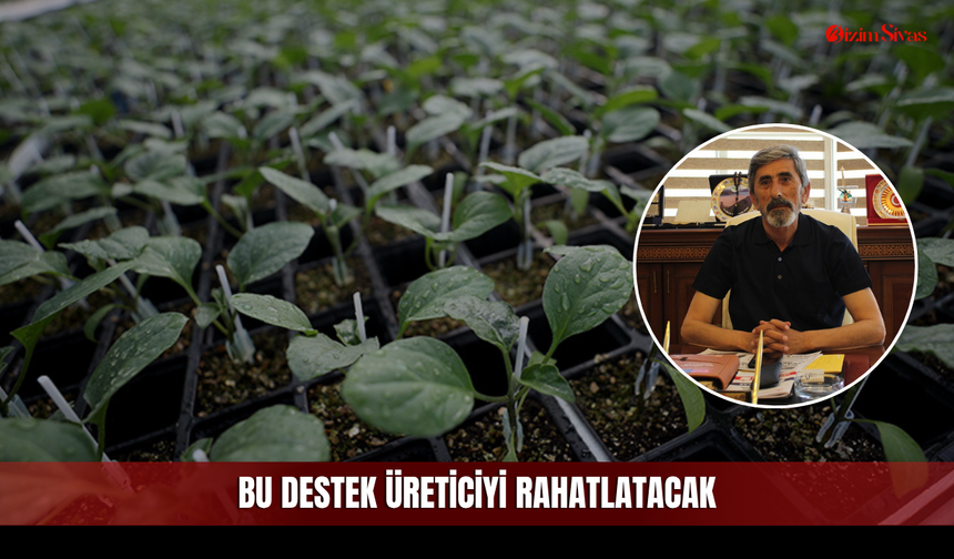 Sivas Ziraat Odası'ndan Uygun Fiyatlı Fide Hamlesi