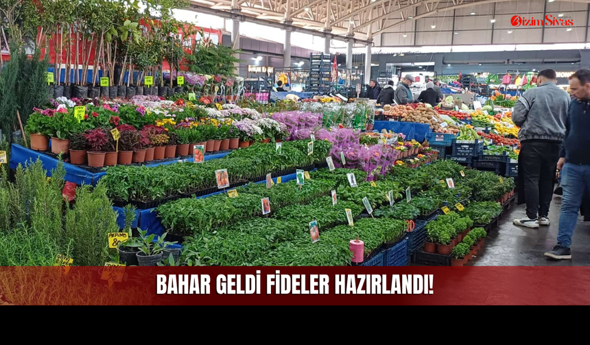 Sivas'ta Fide Sezonu Hızlı Başladı!