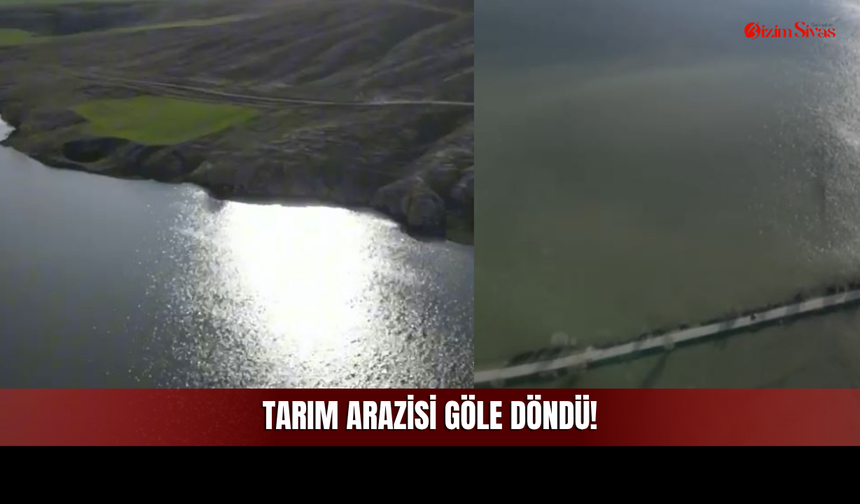 Sivas'ta Çiftçinin Umudu Sulara Gömüldü! Ekin Arazisi Göle Döndü!