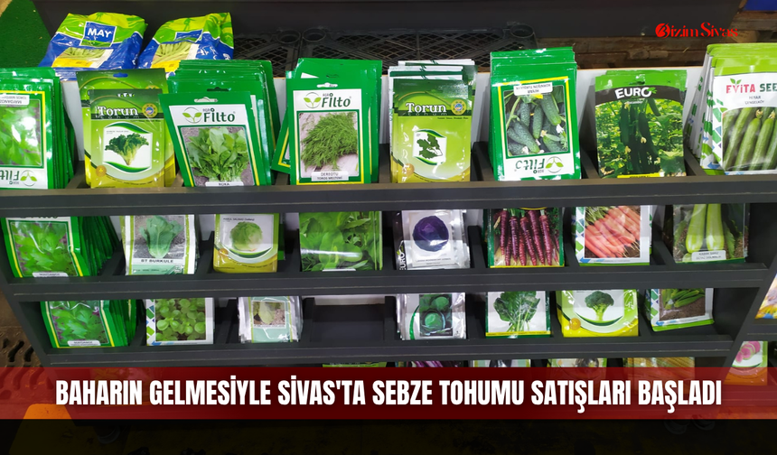 Baharın gelmesiyle Sivas'ta sebze tohumu satışları başladı