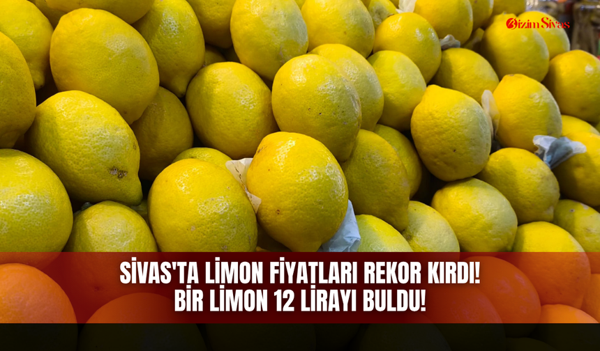 Sivas'ta limon fiyatları rekor kırdı bir limon 12 lirayı buldu!