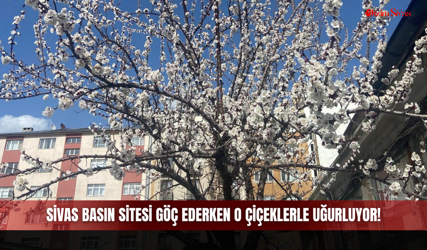 Sivas Basın Sitesi Göç Ederken O Çiçeklerle Uğurluyor!