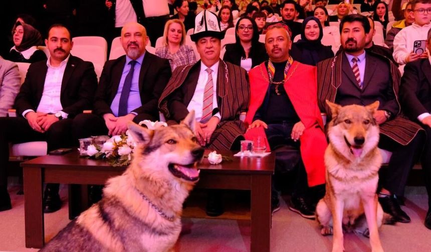 Sivas’ta Nevruz Coşkusu Kurtlar Sahneye Çıktı, Şahin Uçtu
