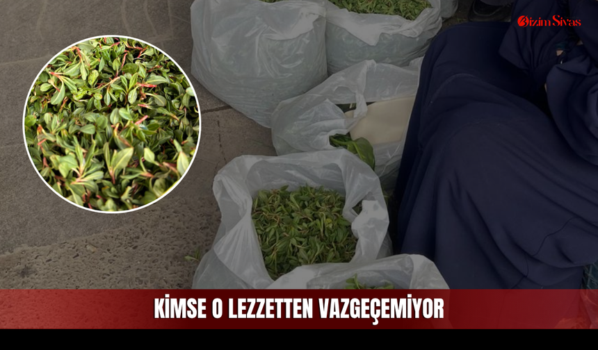 Kilosu 200 TL Oldu Ama Kimse Vazgeçemiyor!