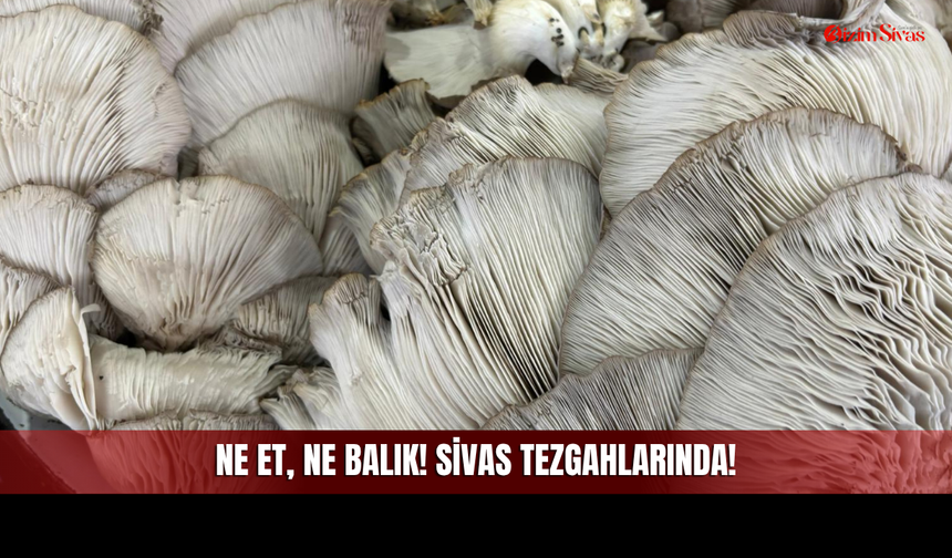 Ne Et, Ne Balık! Doğanın Bitkisel Eti Sivas Tezgahlarına İndi!