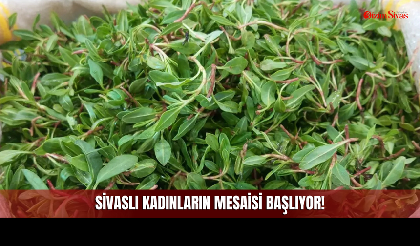 Sivaslı Kadınların Yoğun Mesaisi Başlıyor!
