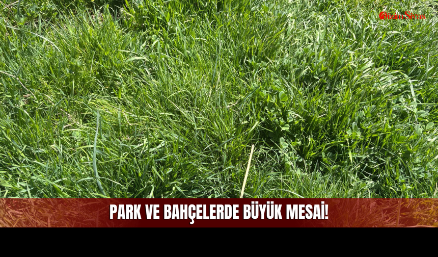 Havalar Isındı, O Korku Yeniden Uyandı