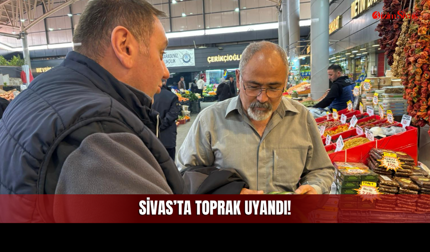 Sivas’ta Toprak Uyandı! Domates, Biber, Patlıcan Derken Köye Dönüş Hızlandı!