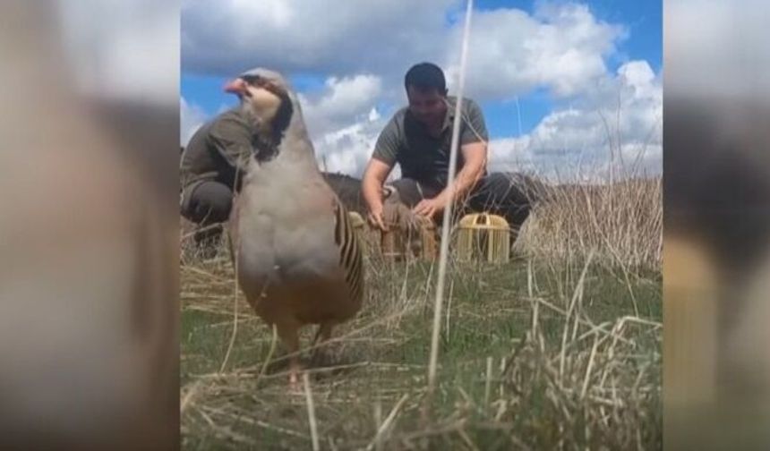 Şarkışla’da Kurulan Tuzak Her Şeyi Ele Verdi