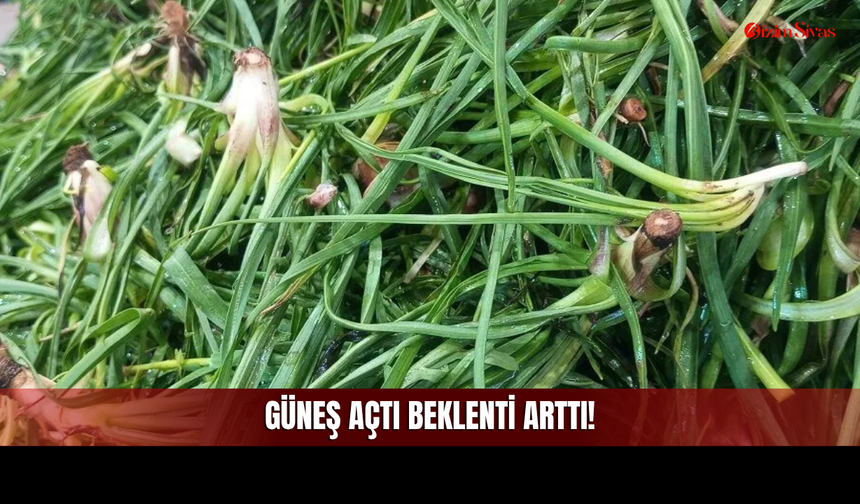 Sivas'ta Güneş Açtı Tezgahlardaki Beklenti Yükseldi!