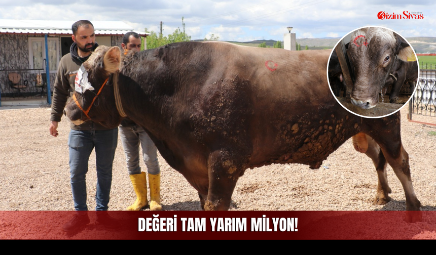 Geldiğinde 600 Kiloydu, Şimdi İkiye Katladı!