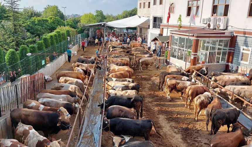 Kurban Keserken Sakın Bunu Yapmayın