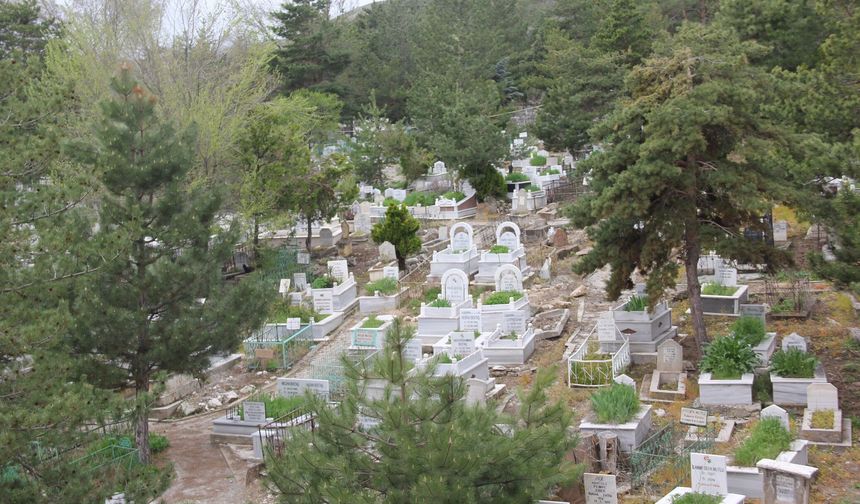 Ata, Dede Topraklarını Bulamayan Sivaslı Gurbetçiler Müjde! Dijital Dönem Başladı!