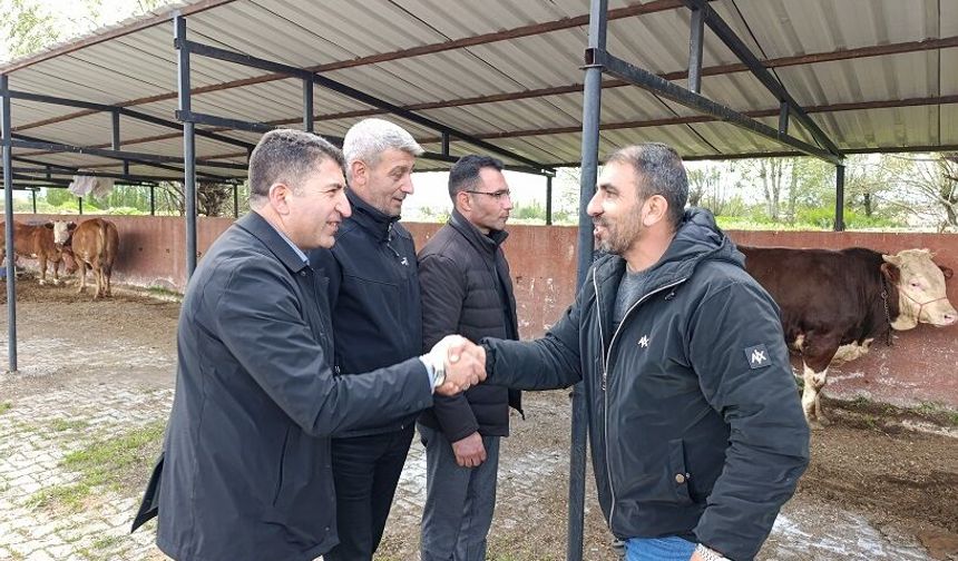 Zara'da hayvan pazarı açıldı
