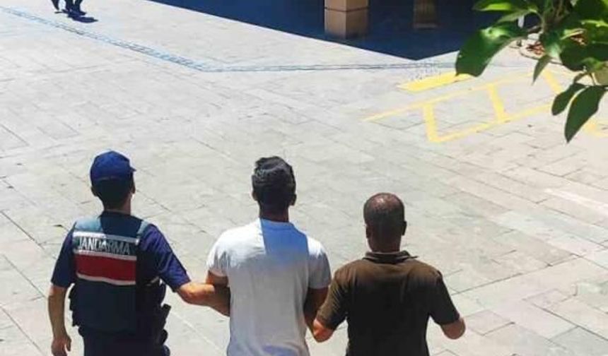 Torpil Şakası 92 Hektar Ormanı Kül Etti
