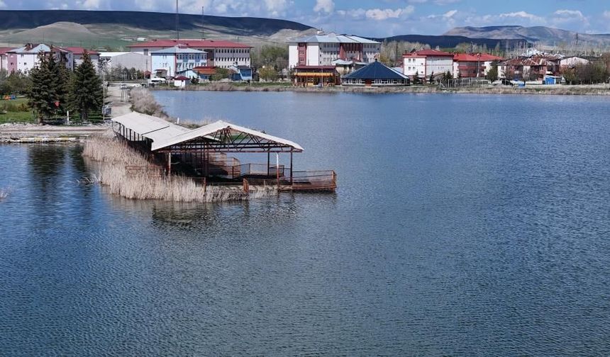 Ulaş Gölü Yeniden Taştı, Göçmen Kuşlar Geri Dönüyor