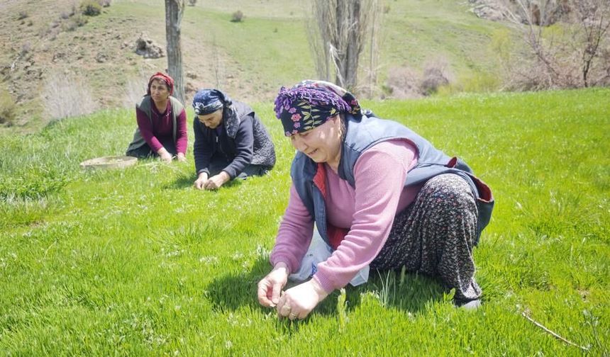 Sivas’ta Şiirlere Konu Olan Madımak