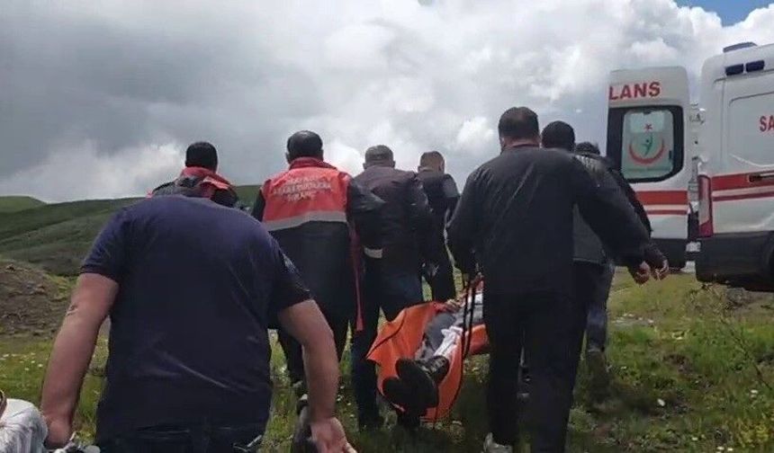 Sivas'ta mantar toplarken ayı saldırısına uğradı