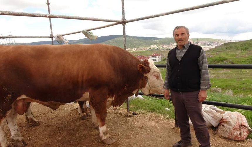 Kurban Bayramına saatler kala pazarlıklar hız kazandı