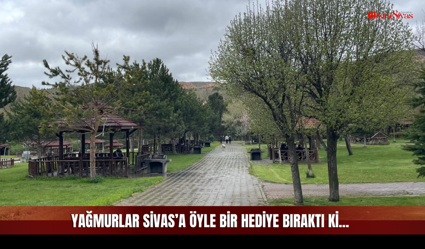 Toprak Kokusu ve Yeşilin Her Tonu! Sivas’taki O Alan Görsel Şölene Dönüştü
