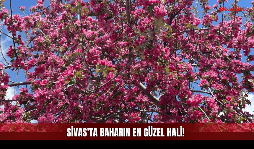 Sivas Cumhuriyet Üniversitesi’nde O Görüntüler Mest Etti!