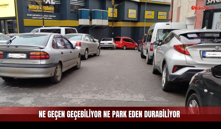 Sivas'ta Oraya Giren Çıkamıyor, Görenler Yolunu Değiştiriyor