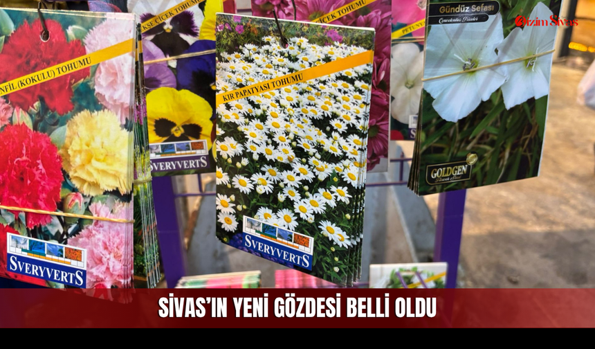 Sivaslılar Bu Kez Sevdikleri İçin Sıraya Girdi