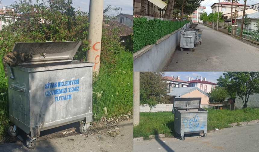 Kurban Bayramında Sivas’tan Örnek Tablo