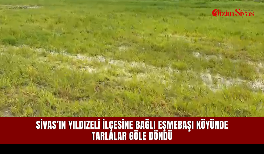 Sivas’ın Yıldızeli ilçesine bağlı Eşmebaşı köyünde tarlalar göle döndü