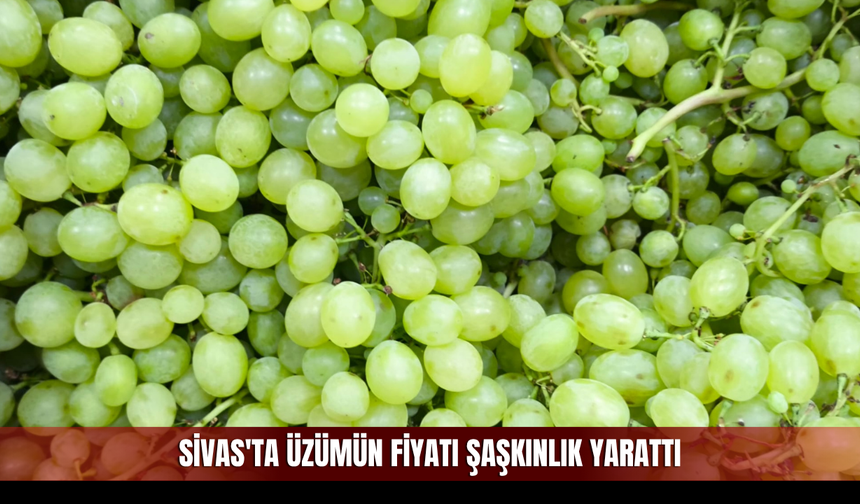 Sivas'ta üzümün fiyatı şaşkınlık yarattı