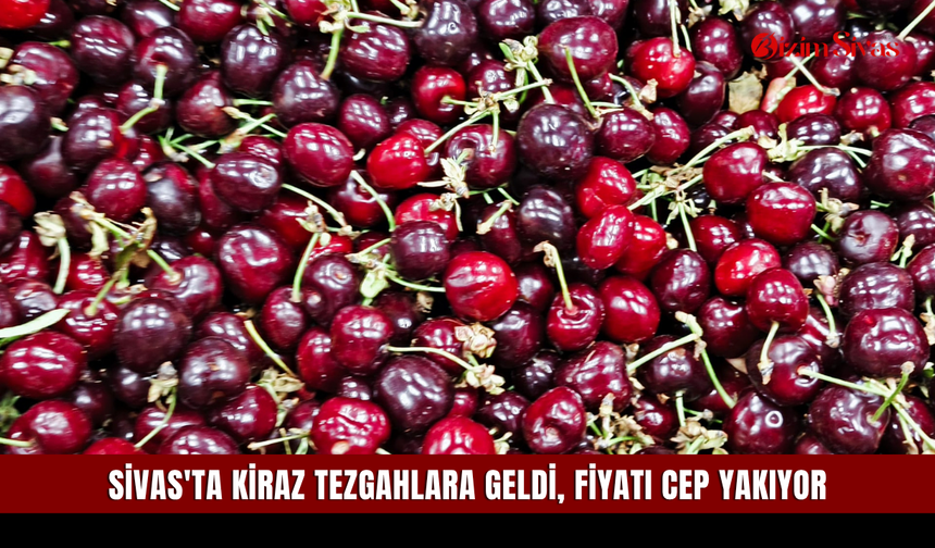 Sivas'ta Kiraz tezgahlara geldi, fiyatı cep yakıyor