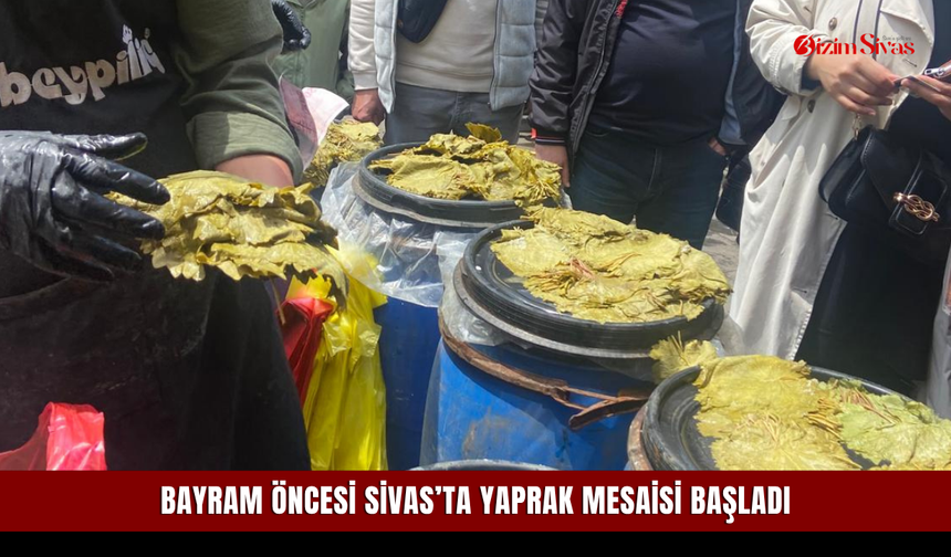 Bayram öncesi Sivas’ta yaprak mesaisi başladı
