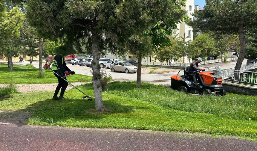 Sivas'ta Yeşil Alanlar Yaza Hazırlanıyor