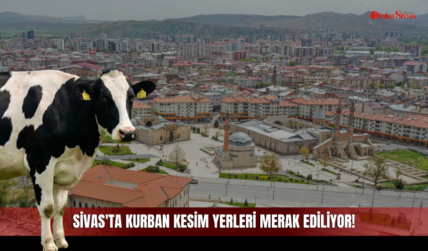 Sivas'ta Kurban Bayramı Yaklaşırken Kurban Kesim Yerleri de Merak Ediliyor!