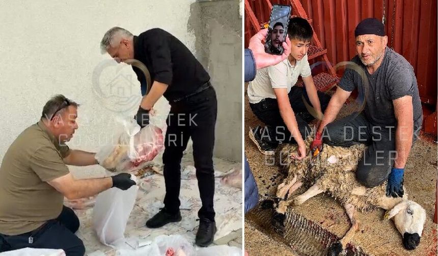 Yaşama Destek Gönüllüleri Derneği'nden kurban desteği