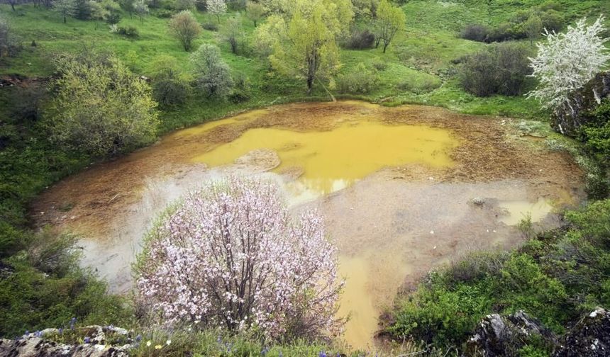 Sivas'ta Dipsizgöl'ün Turkuaz Rengi Çamurla Kaplandı