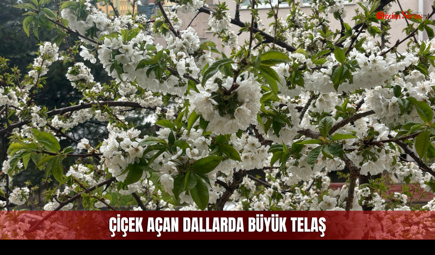 Sivas’ta Bahar Sevinci Yarım mı Kaldı?
