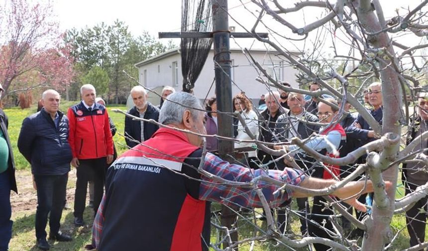Sivas’ta O Eğitimle Ağaçlar Bambaşka Olacak