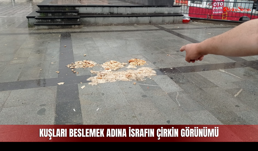 Kuşları beslemek adına israfın çirkin görünümü