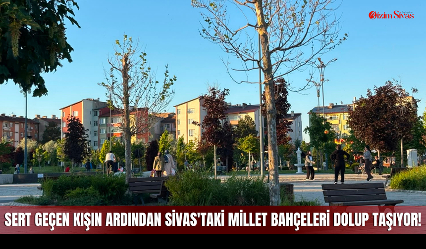 Sert Geçen Kışın Ardından Sivas'taki Millet Bahçeleri Dolup Taşıyor!
