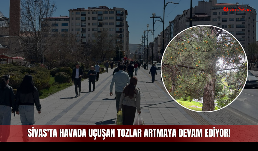 Sivas'ta Havada Uçuşan Tozlar Artmaya Devam Ediyor!