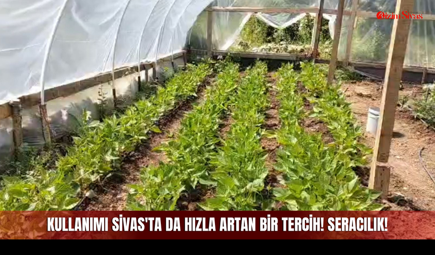 Kullanımı Sivas'ta da Hızla Artan Bir Tercih! Seracılık!