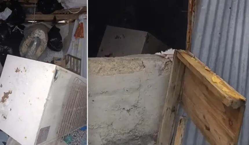 Bir günde 20 eve giren ayı yayla sakinlerini canından bezdirdi