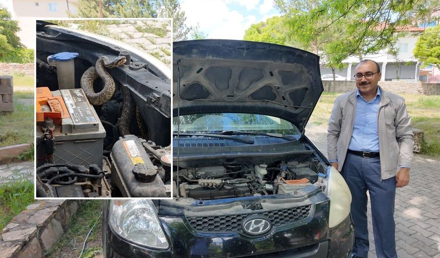 Sivas'ta otomobilin motorundan yılan çıktı