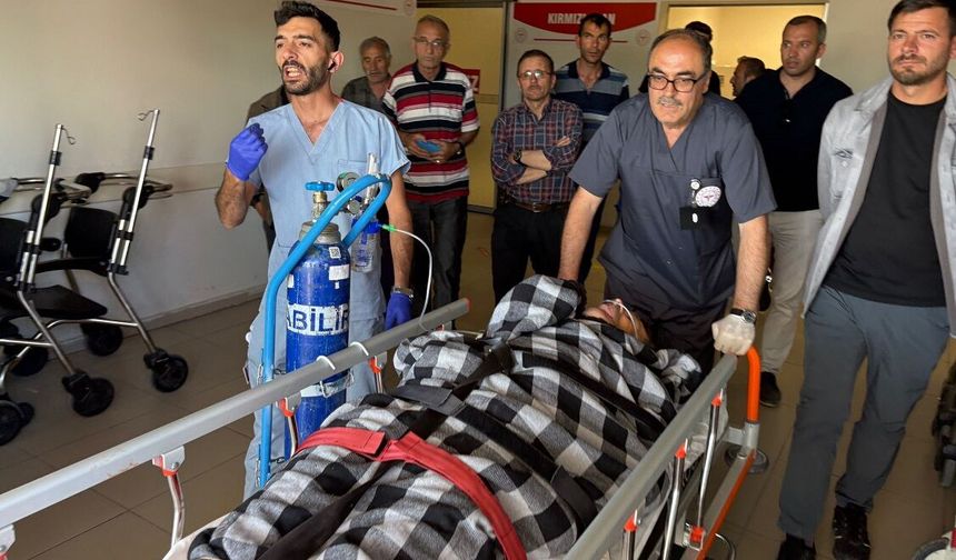 Sivas'ta ayı saldırısına uğrayan çoban yaralandı