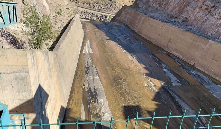 Sivas'ta barajda dağ keçileri operasyonu