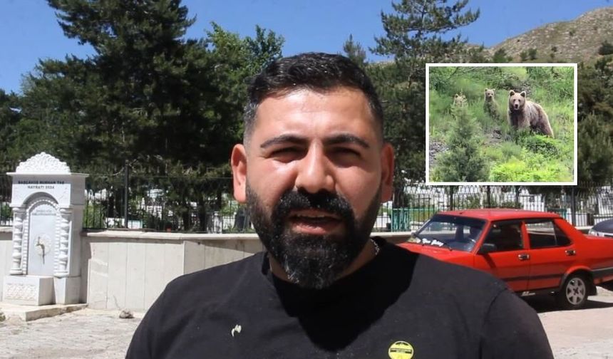 Sivas'ta ayı ailesi gezisi görüntülendi