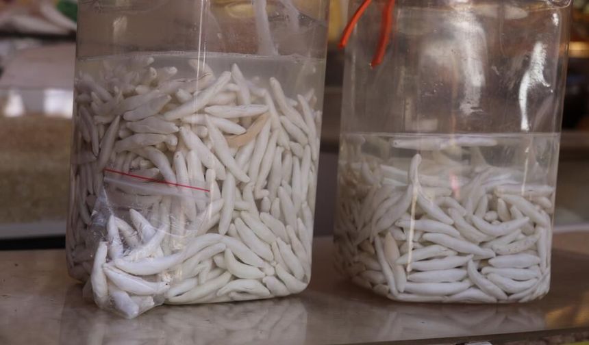 Sivas'ın Dağlarından Gelen Şifa Deposu! Kilosu 12 Bin TL!