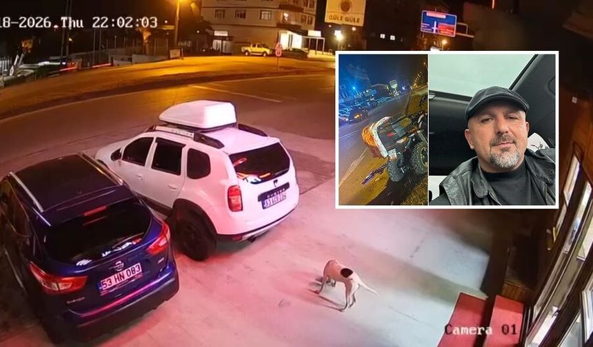 Köpeğe çarpmamak için yaptığı manevra hayatına mal oldu